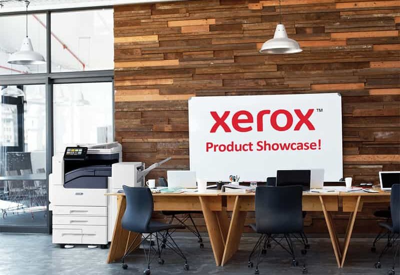 Xerox Careers Opportunities for Graduate | Xerox Internship | 0 - 5 yrs