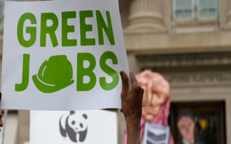 The Green Jobs in demand! Why?