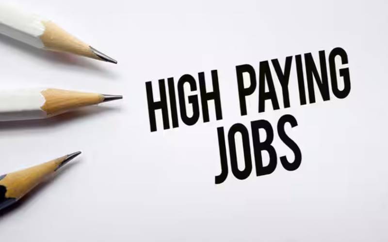 Top 10 Highest Paying Jobs in India