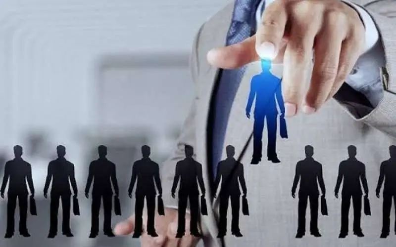 2026 Hiring Trends | Which Industries Are Hiring Fresh Graduates the Most?